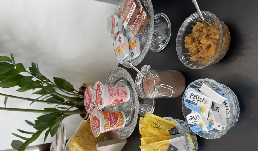 Svirg Terml Panzi Hajdnns - Mjus 1.