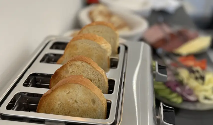 Svirg Terml Panzi Hajdnns - Mjus 1.