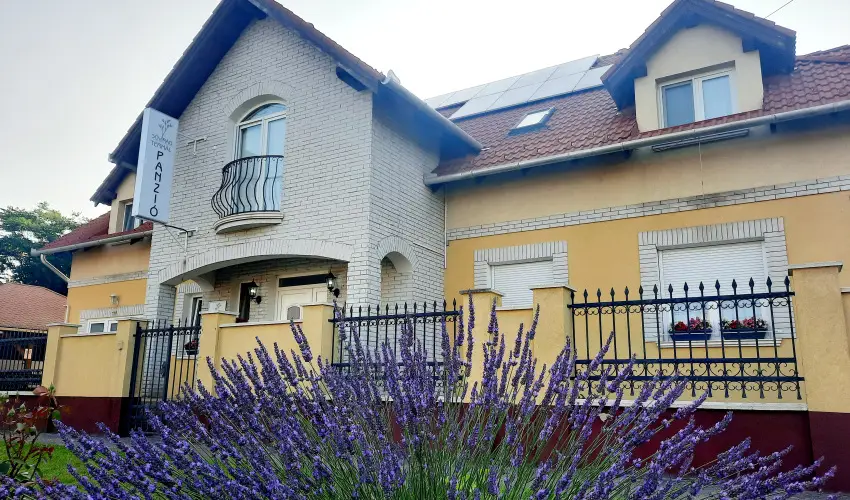 Svirg Terml Panzi Hajdnns - Mjus 1.