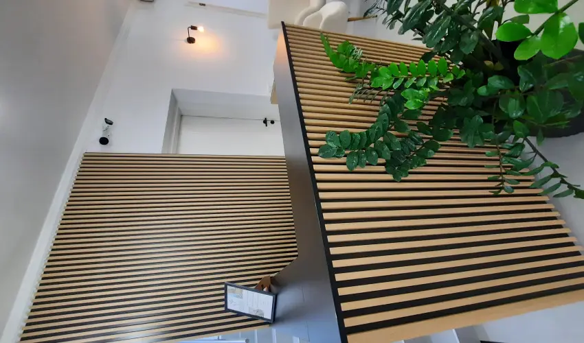 Svirg Terml Panzi Hajdnns - Mjus 1.