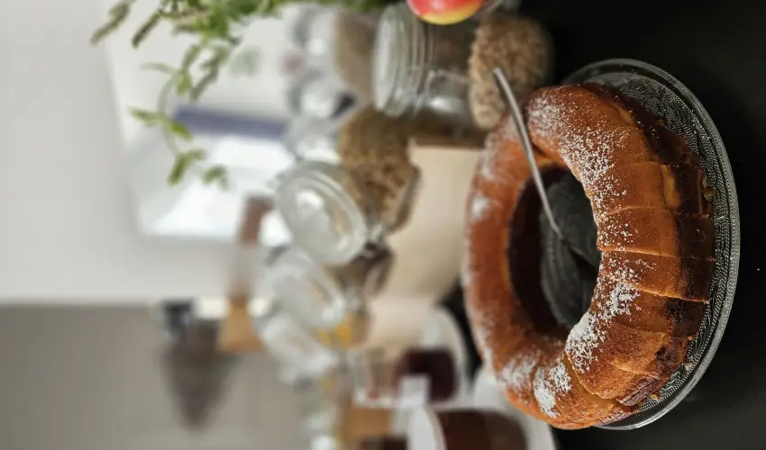 Svirg Terml Panzi Hajdnns - Mjus 1.