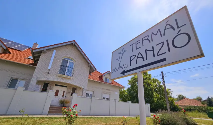 Svirg Terml Panzi Hajdnns - Mjus 1.