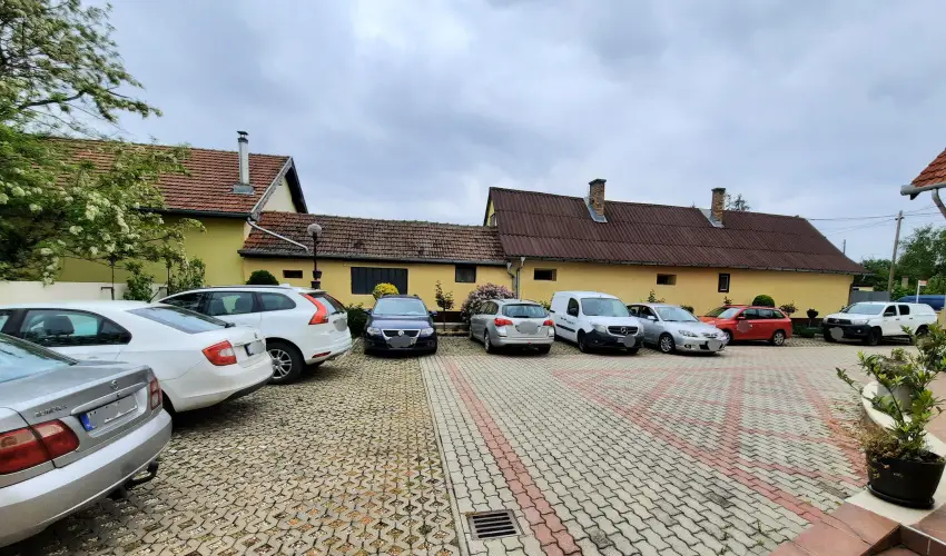 Svirg Terml Panzi Hajdnns - Mjus 1.