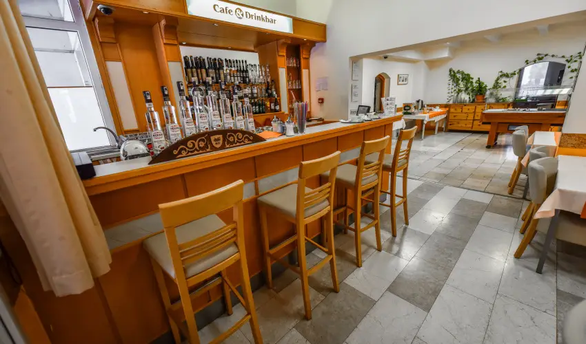 Aqua Hotel Terml Mosonmagyarvr - Mjus 1.