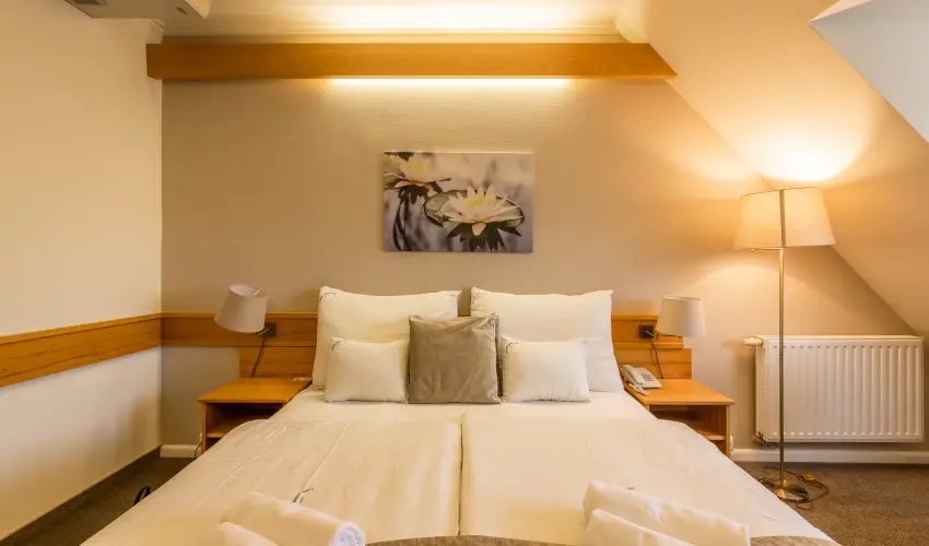 Aqua Hotel Terml Mosonmagyarvr - Mjus 1.