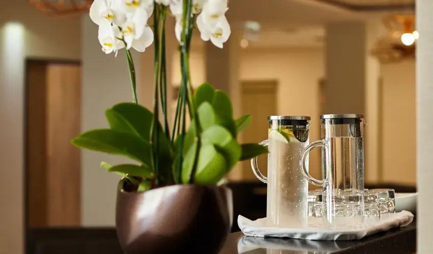 Thermal Hotel Balance  Lenti - Mjus 1. (min. 2 j)