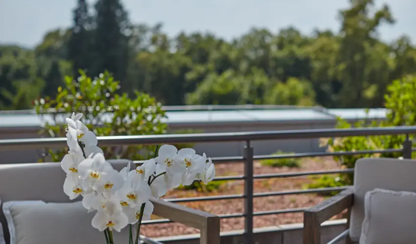 Thermal Hotel Balance  Lenti - Mjus 1. (min. 2 j)