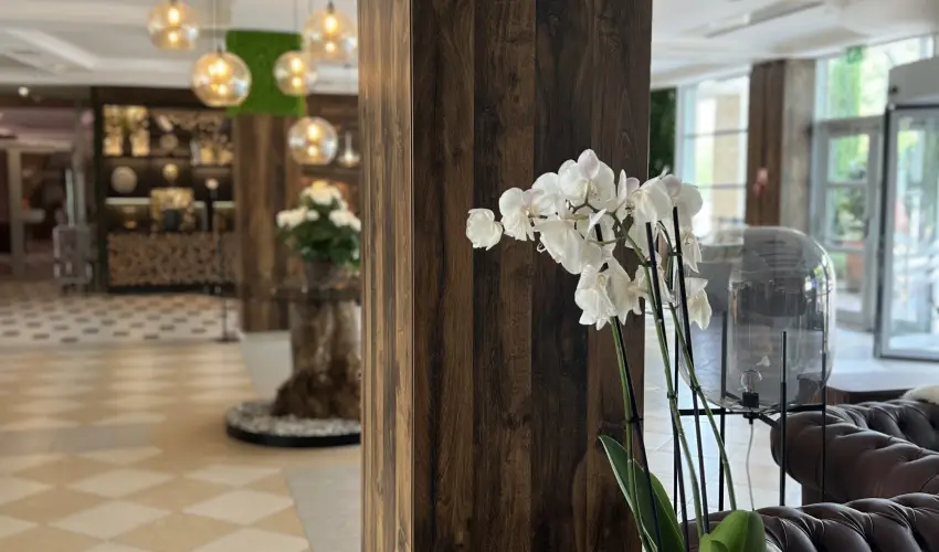 Thermal Hotel Visegrd Visegrd - Mjus 1. (min. 3 j)