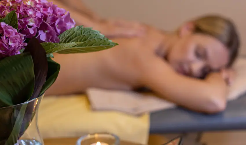 Thermal Hotel Visegrd Visegrd - Mjus 1. (min. 3 j)