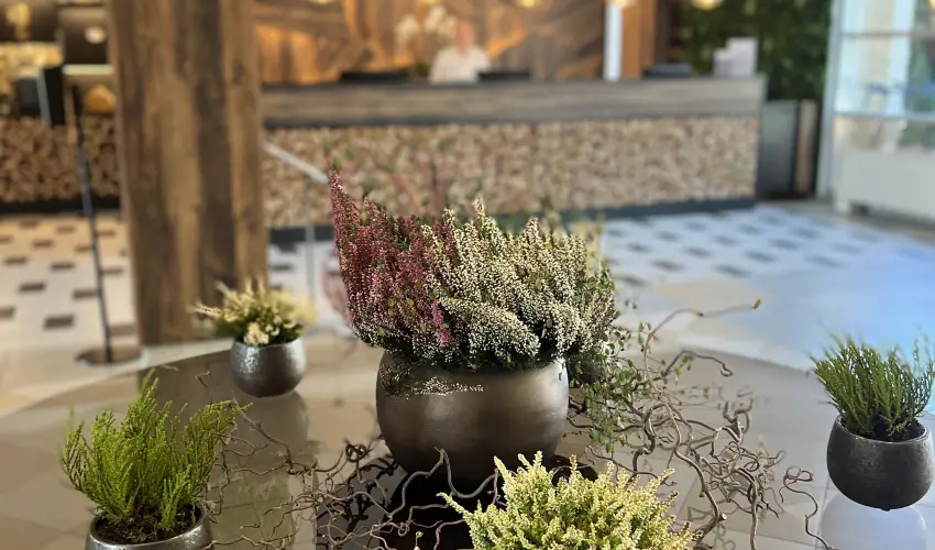 Thermal Hotel Visegrd Visegrd - Mjus 1. (min. 3 j)