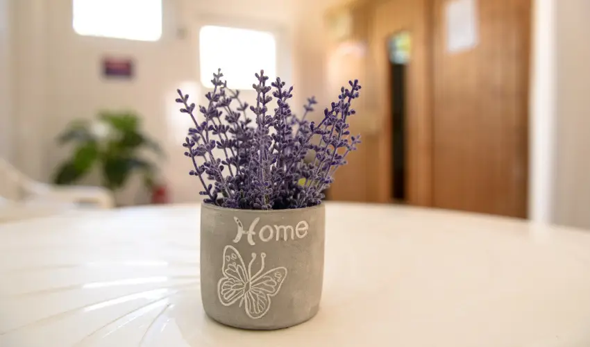 Thermal Panzi Igal Igal - Mjus 1. (min. 2 j)