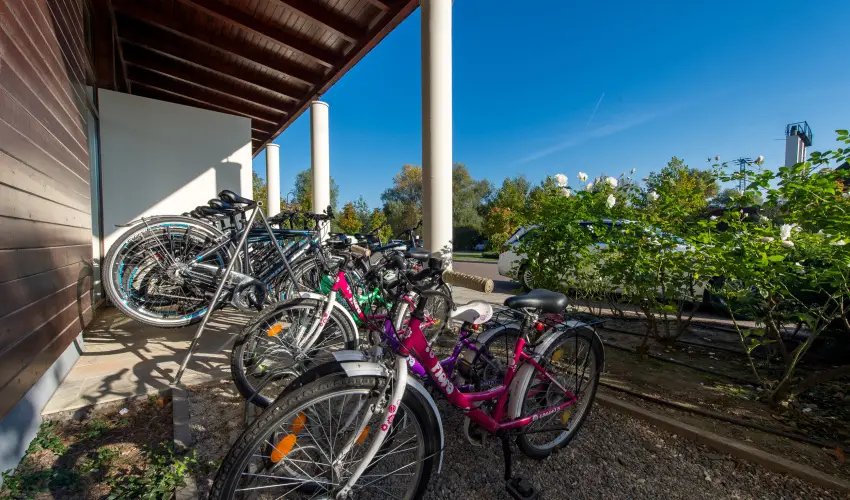 Tisza Balneum Hotel Tiszafred - Majlis (min. 3 j)