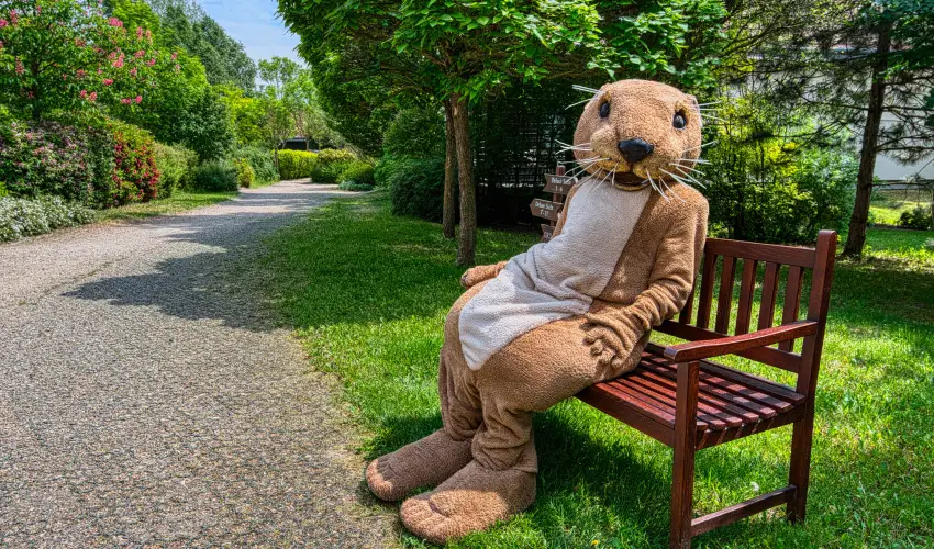 Tisza Balneum Hotel Tiszafred - Majlis (min. 3 j)