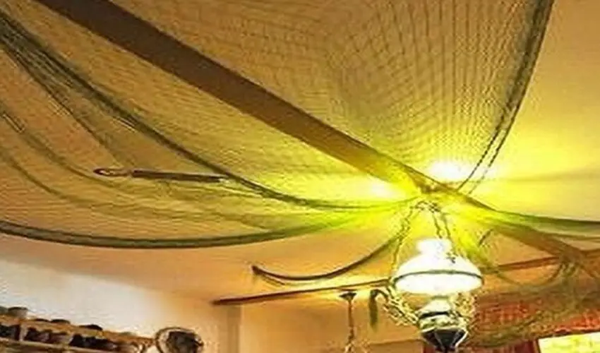 Tiszacsegei Halszcsrda s Panzi  Tiszacsege - Mjus 1. 