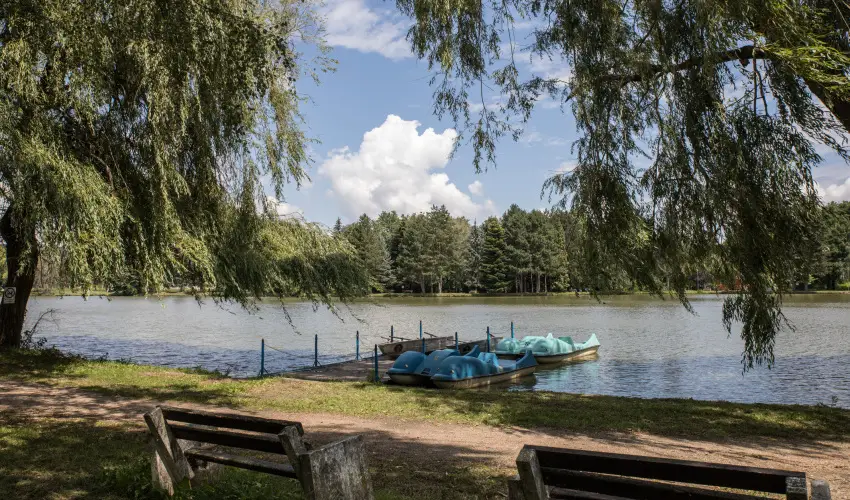 T-Part Panzi & Rendezvnykzpont Kszeg - Mjus 1.