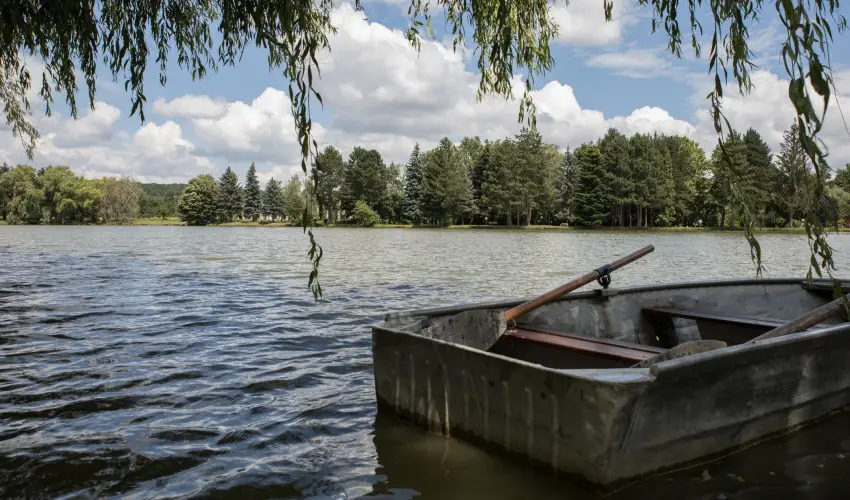 T-Part Panzi & Rendezvnykzpont Kszeg - Mjus 1.