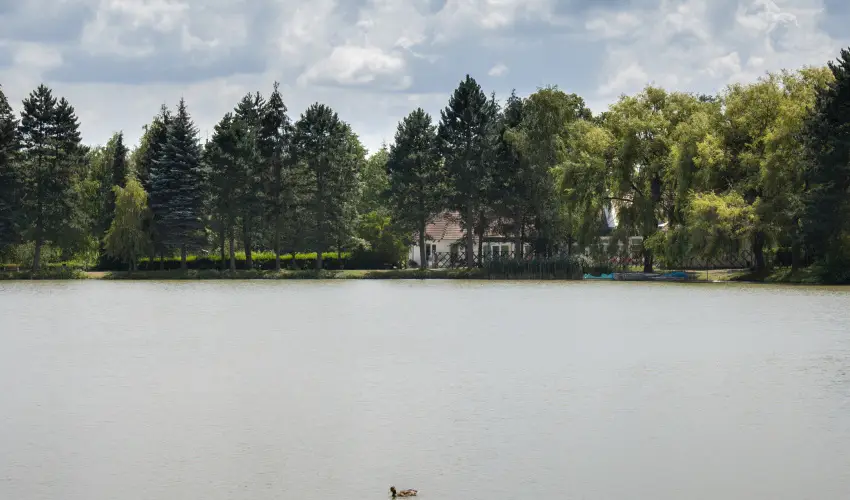 T-Part Panzi & Rendezvnykzpont Kszeg - Mjus 1.