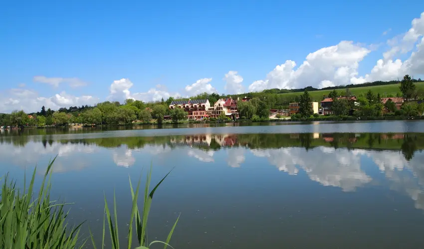 T Wellness Hotel Bnk - Majlis