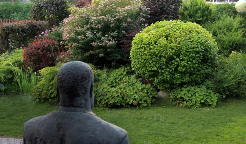 T Wellness Hotel Bnk - Majlis