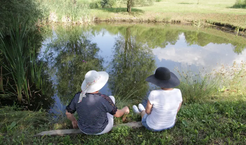 T Wellness Hotel Bnk - Majlis