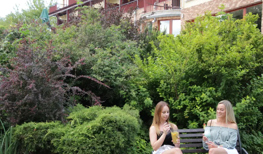 T Wellness Hotel Bnk - Majlis