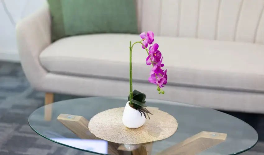 Zam�rdi TOK Zam�rdi - M�jus 1.