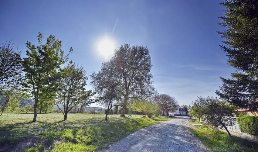 Tkert Fogad Nagymnyok - Mjus 1.