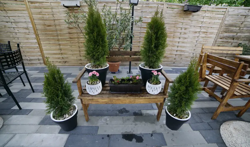 Tkert Fogad Nagymnyok - Mjus 1.