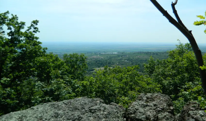Tkert Fogad Nagymnyok - Mjus 1.