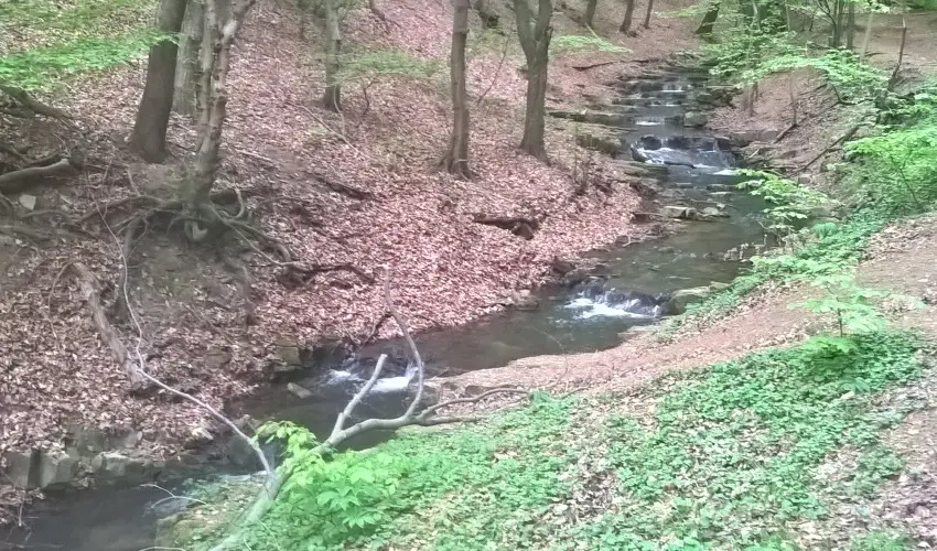 Tkert Fogad Nagymnyok - Mjus 1.