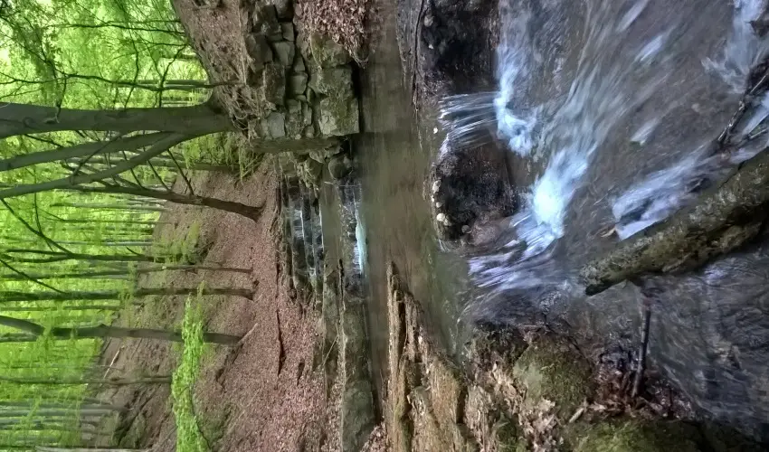 Tkert Fogad Nagymnyok - Mjus 1.