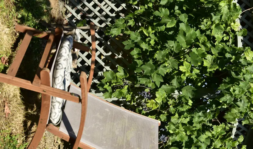 Torncos Vendghz Krshegy - Mjus 1. (min. 3 j)