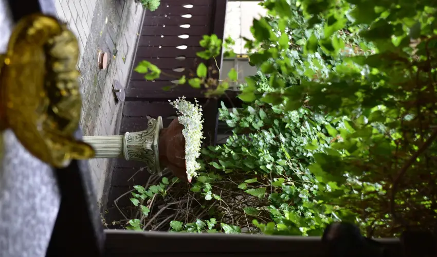 Torncos Vendghz Krshegy - Mjus 1. (min. 3 j)