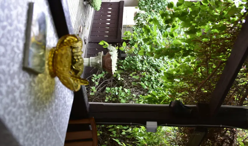 Torncos Vendghz Krshegy - Mjus 1. (min. 3 j)