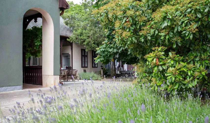 Torncos Vendghz Krshegy - Mjus 1. (min. 3 j)