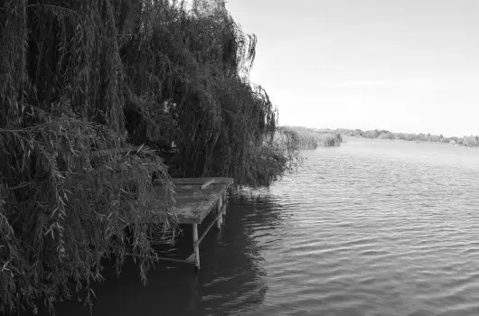 T�csi lak - M�jus 1. (min. 2 �j)