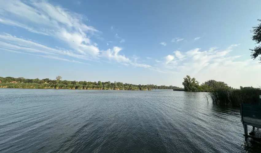 T�csi lak Szigetszentm�rton - M�jus 1. (min. 2 �j)