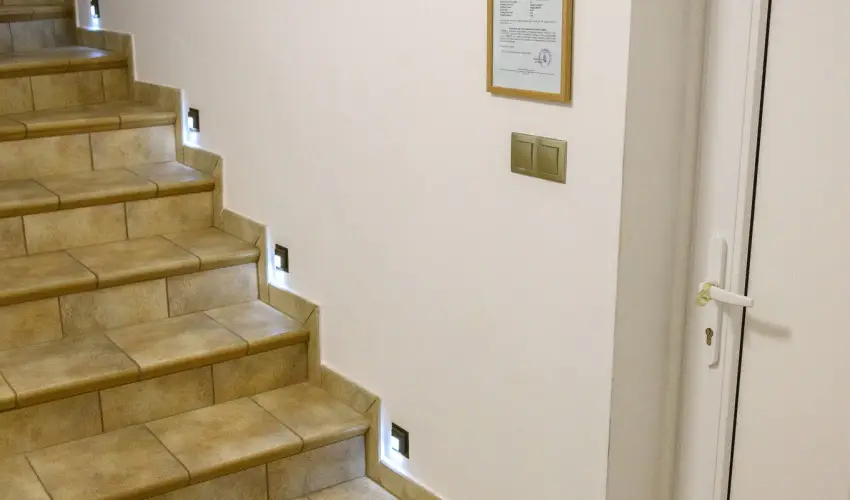 Tulipn Vendghz rvnyes - Mjus 1. (min. 2 j)