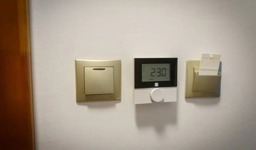 Tulipn Vendghz rvnyes - Mjus 1. (min. 2 j)