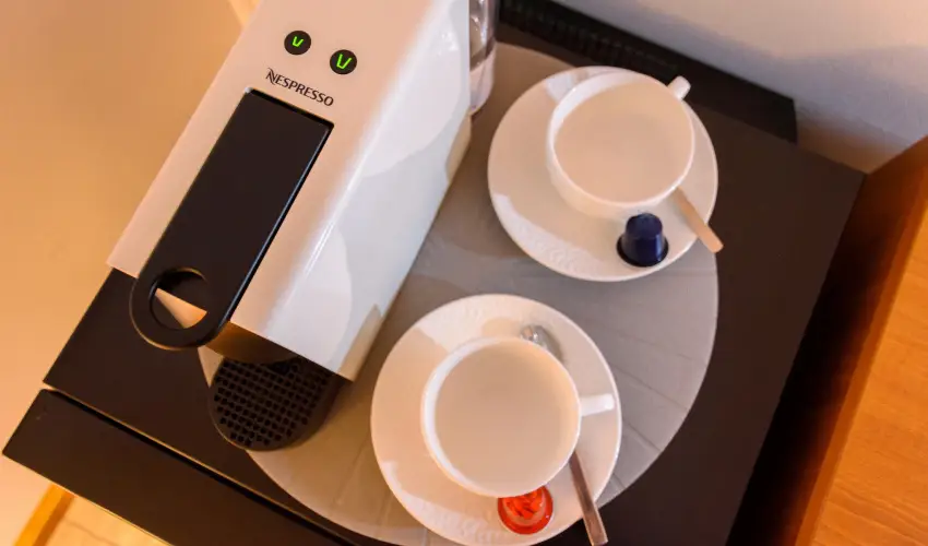 Tulipn Vendghz rvnyes - Mjus 1. (min. 2 j)