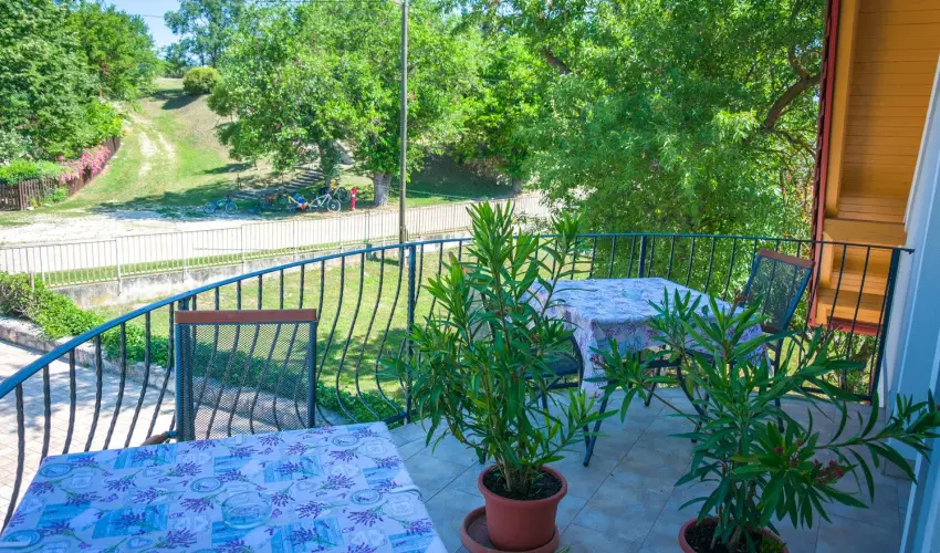 Tulipn Vendghz rvnyes - Mjus 1. (min. 2 j)