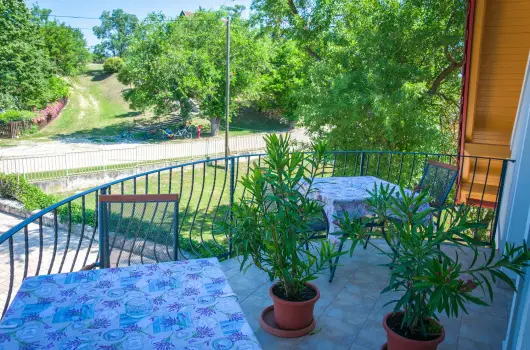 Tulipn Vendghz - Mjus 1. (min. 2 j)