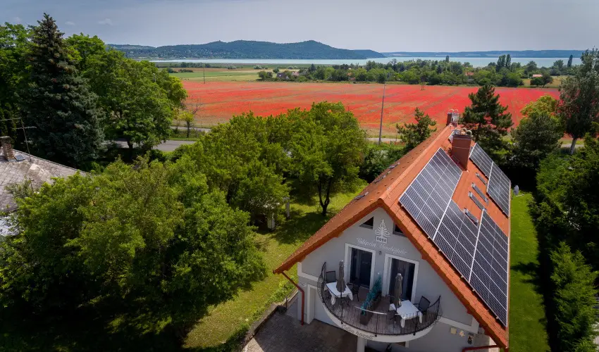 Tulipn Vendghz rvnyes - Mjus 1. (min. 2 j)