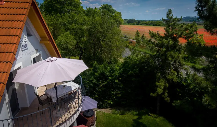 Tulipn Vendghz rvnyes - Mjus 1. (min. 2 j)