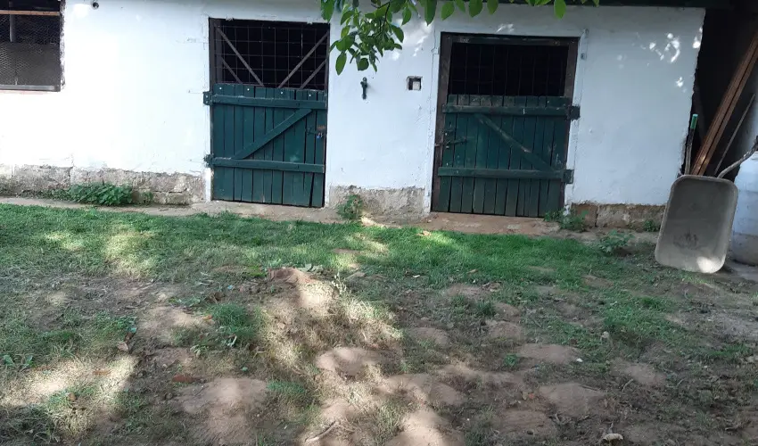 Tulip�nos Vend�gh�z �r - M�jus 1.