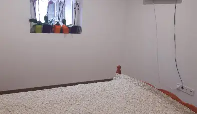 Tulip�nos Vend�gh�z �r