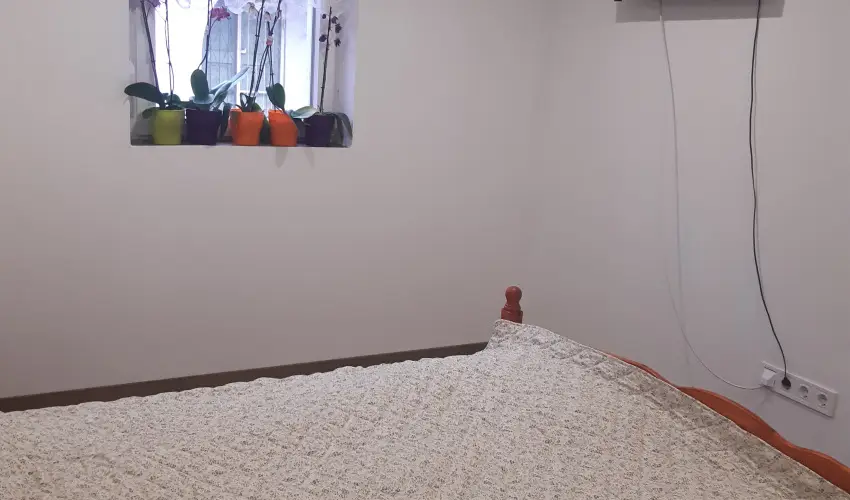 Tulip�nos Vend�gh�z �r - M�jus 1.