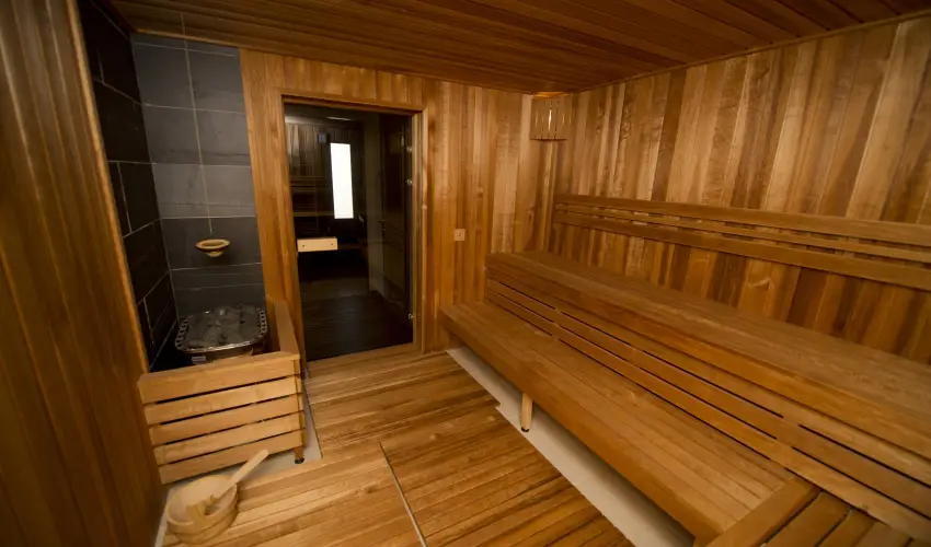 Vadkert Major Srvr - Mjus 1.