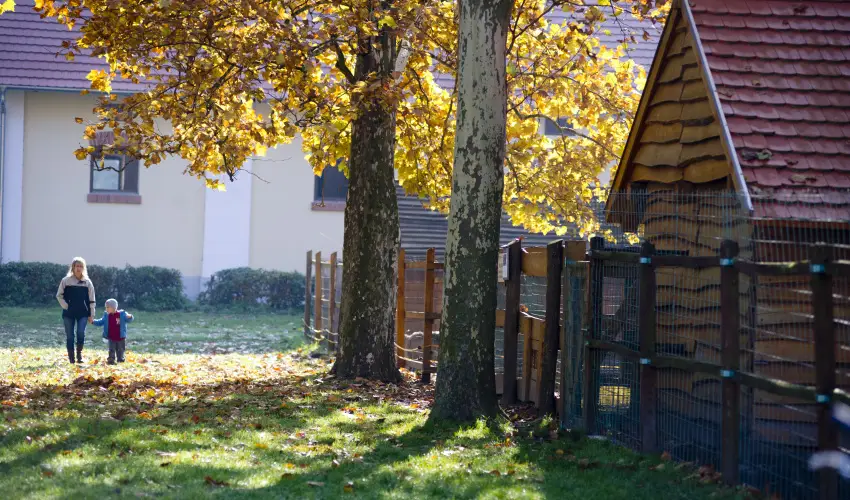 Vadkert Major Srvr - Mjus 1.