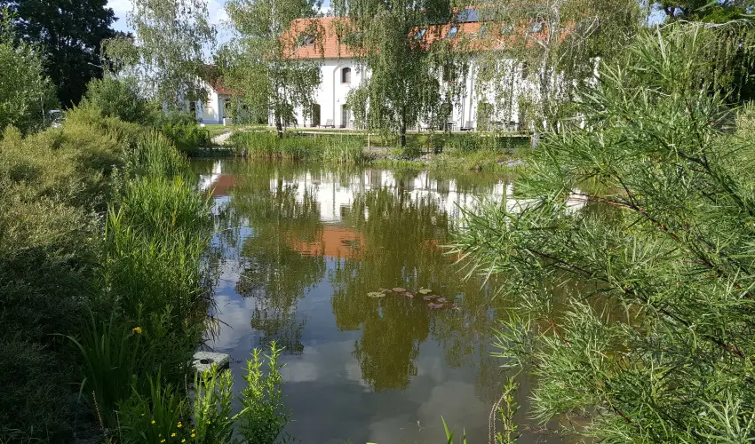 Vadkert Major Srvr - Mjus 1.